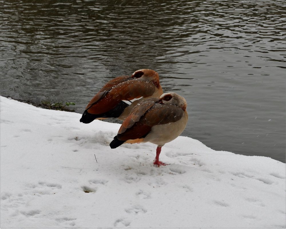 DSCF0642.JPG