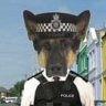 pc murphy