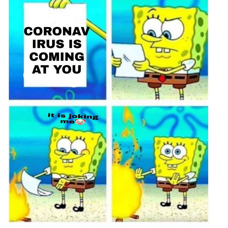 53541721.jpg
